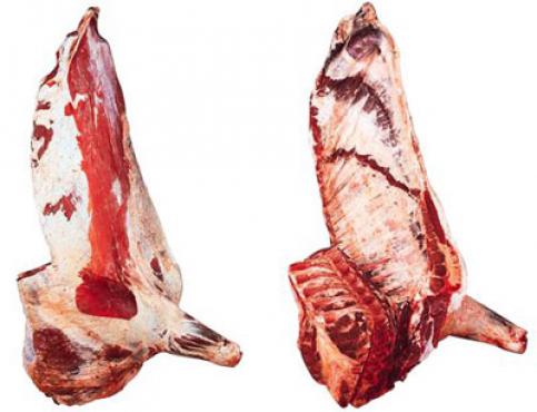 1200 Forequarter with flank